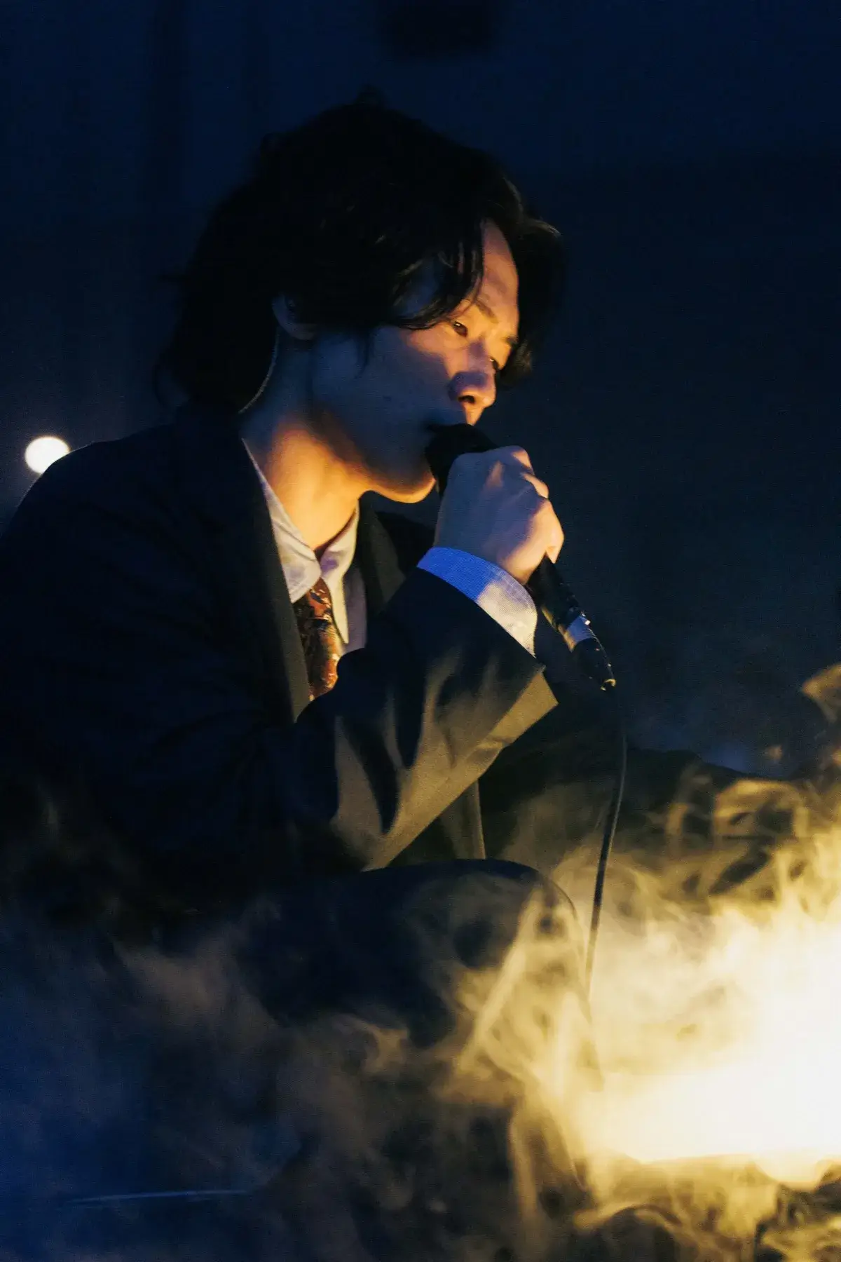日本武道館公演のライブ写真 17