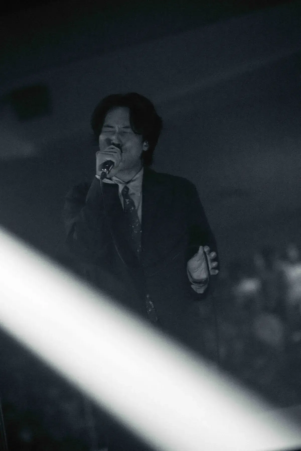 日本武道館公演のライブ写真 21