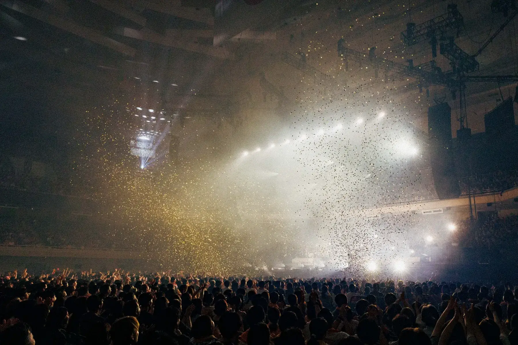 日本武道館公演のライブ写真 37
