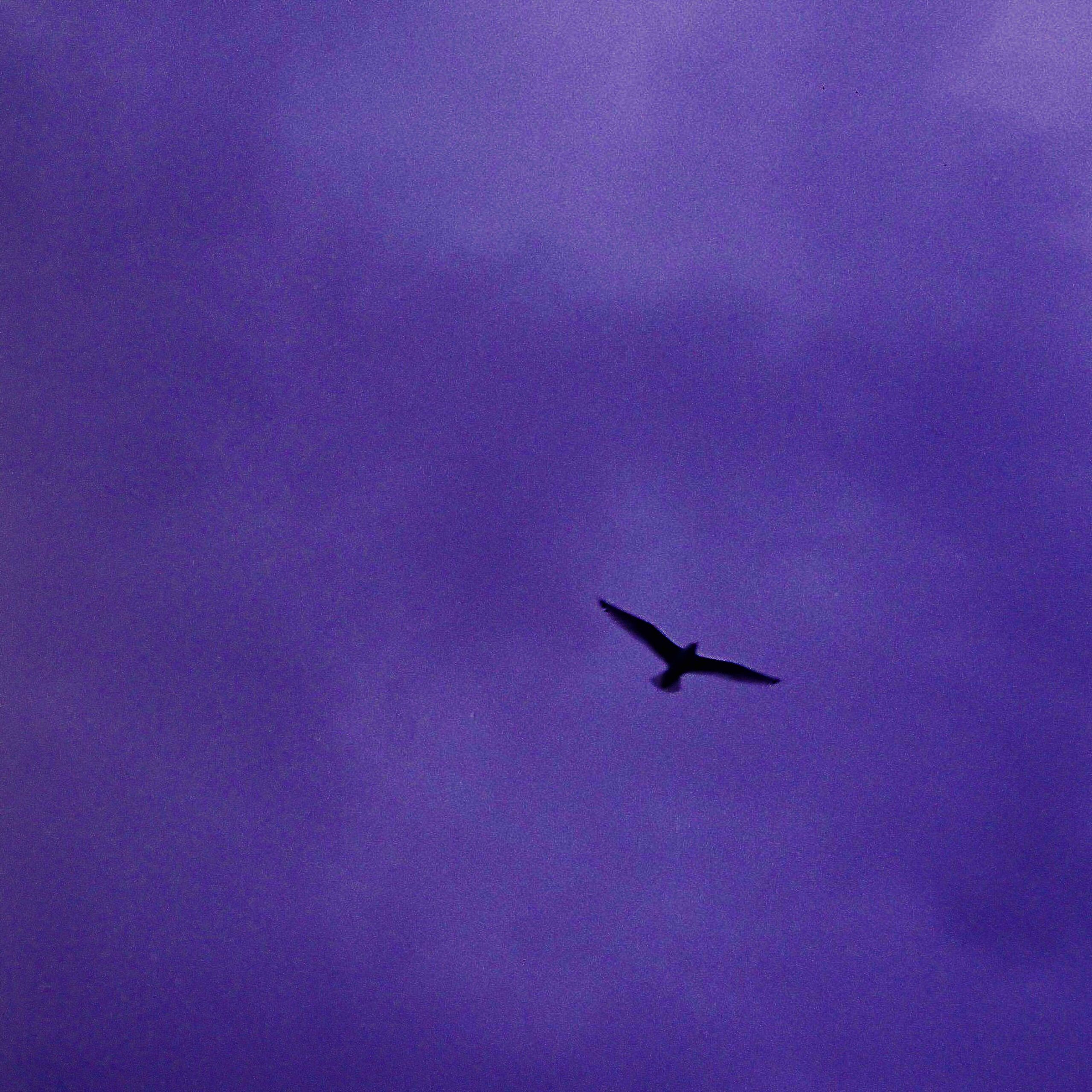 Bialystocks TIDE POOL アナログ盤 メガジャケ付き Bialystocks TIDE POOL アナログ盤 メガジャケ付き Amazon.co.jp: Tide